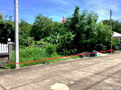 ที่ดิน ม.ศิลปากรวิทยาเขตสารสนเทศเพชรบุรี : ที่ดินว่างเปล่า 113 ตร.วา ชายเขา 1 หัวหิน ประจวบคีรีขันธ์ 2.1M