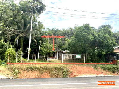 บ้านเดี่ยว 148 ตร.วา เมืองตรัง ตรัง 2.7M