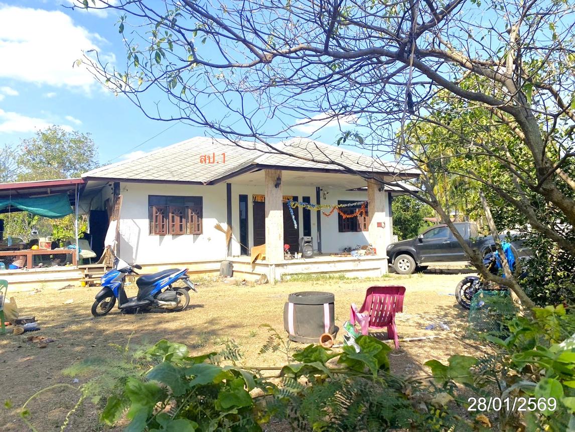 รูป บ้านเดี่ยว 1396 ตร.วา นาเชือก มหาสารคาม 3.2M - รูปที่ 12/25