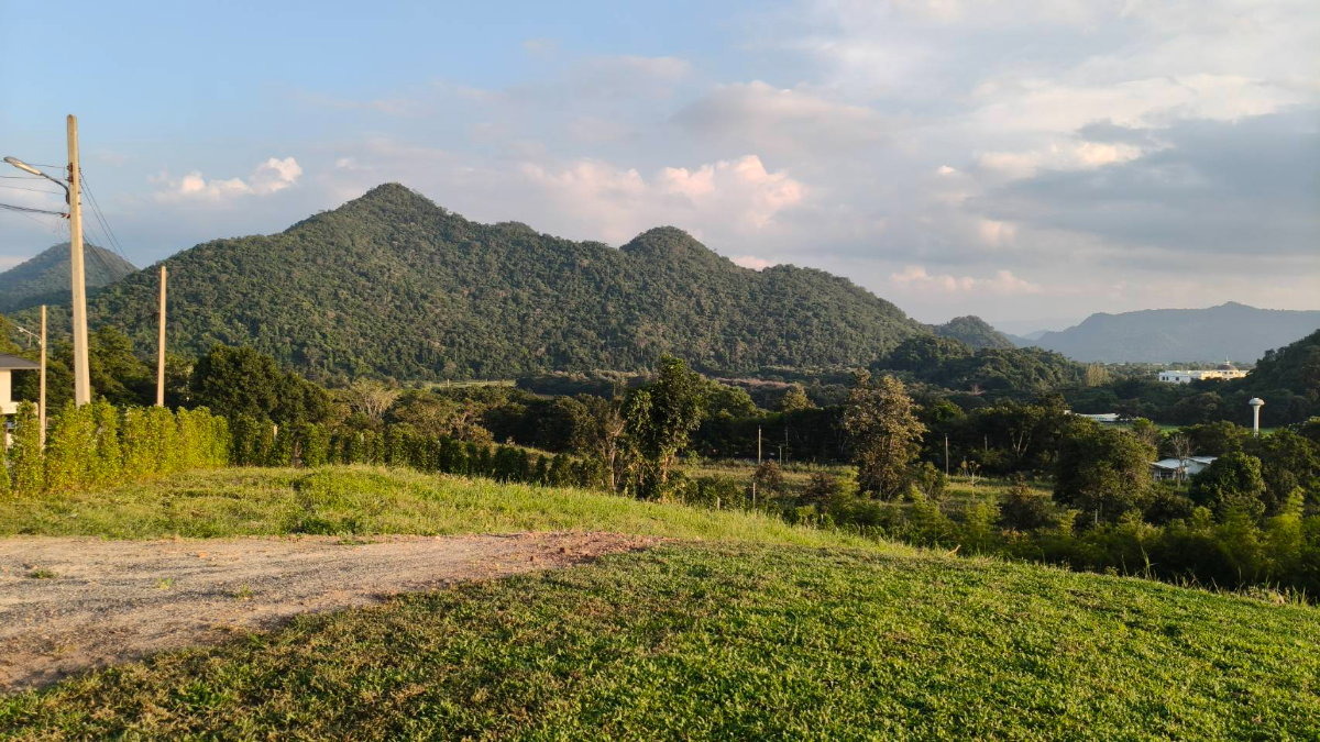รูป ขายที่ดินบนเนินเขา เขาใหญ่ 2ไร่ เส้นธนะรัชต์ หมูสี หนองน้ำแดง ปากช่อง ที่สูงบนเนิน วิวเขาสวยมาก ทิวเขาสลับซับซ้อน เพชรเม็ดงาม น้ำไฟพร้อม ใกล้M6 ตลาด - รูปที่ 5/5