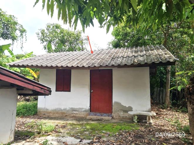 รูป บ้านเดี่ยว 241.6 ตร.วา ดอกคำใต้ พะเยา 1.7M - รูปที่ 12/45
