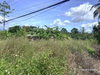 listing thumbnail image 13