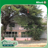 listing thumbnail image 10