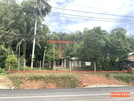 รูป บ้านเดี่ยว 148 ตร.วา เมืองตรัง ตรัง 2.7M - รูปที่ 22/25