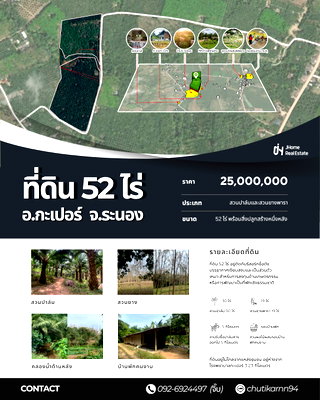 Land for sale Kapoe Ranong : Land for Sale with Oil Palm and Rubber Plantations, 52 Rai, Kapoe District, Ranong, Thailand