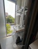 listing thumbnail image 12