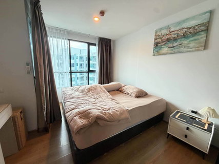 รูปภาพ For Rent: Centrio Condominium, Wichit, Phuket | 1 Bedroom, 34.65 Sq.m. | From 15,000 THB/Month
