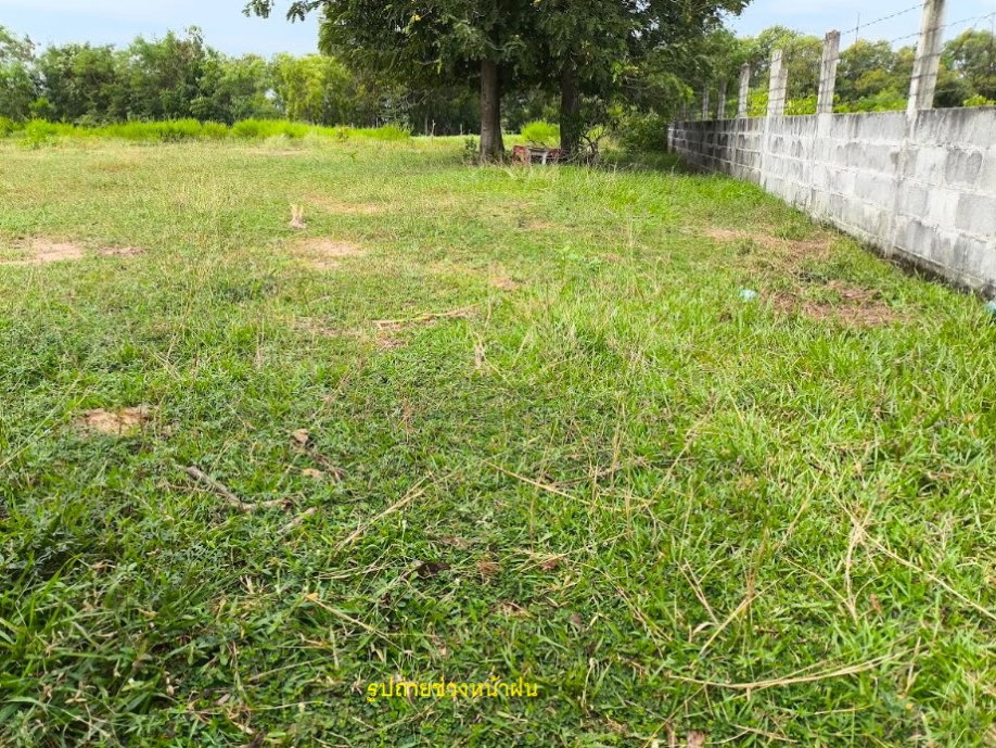 รูป ขายที่ดินเปล่า โฉนดพร้อมโอน 2 ไร่ 17 ตรว. ติดถนน 2 ด้าน อรุณประเสริฐ 202 และถนนเข้าหมู่บ้านน้ำอ้อม เกษตรวิสัย ร้อยเอ็ด - รูปที่ 8/10