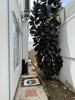 listing thumbnail image 23