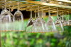 listing thumbnail image 64