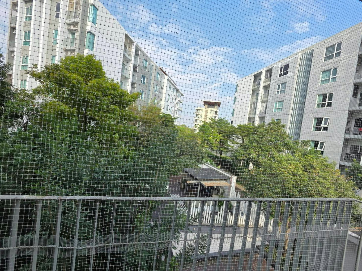 picture 🍃 Condo for RENT! at North 1 Condominium ** Corner Unit ** in Serene Lake - Private, Great Location and Good Security - 5/16