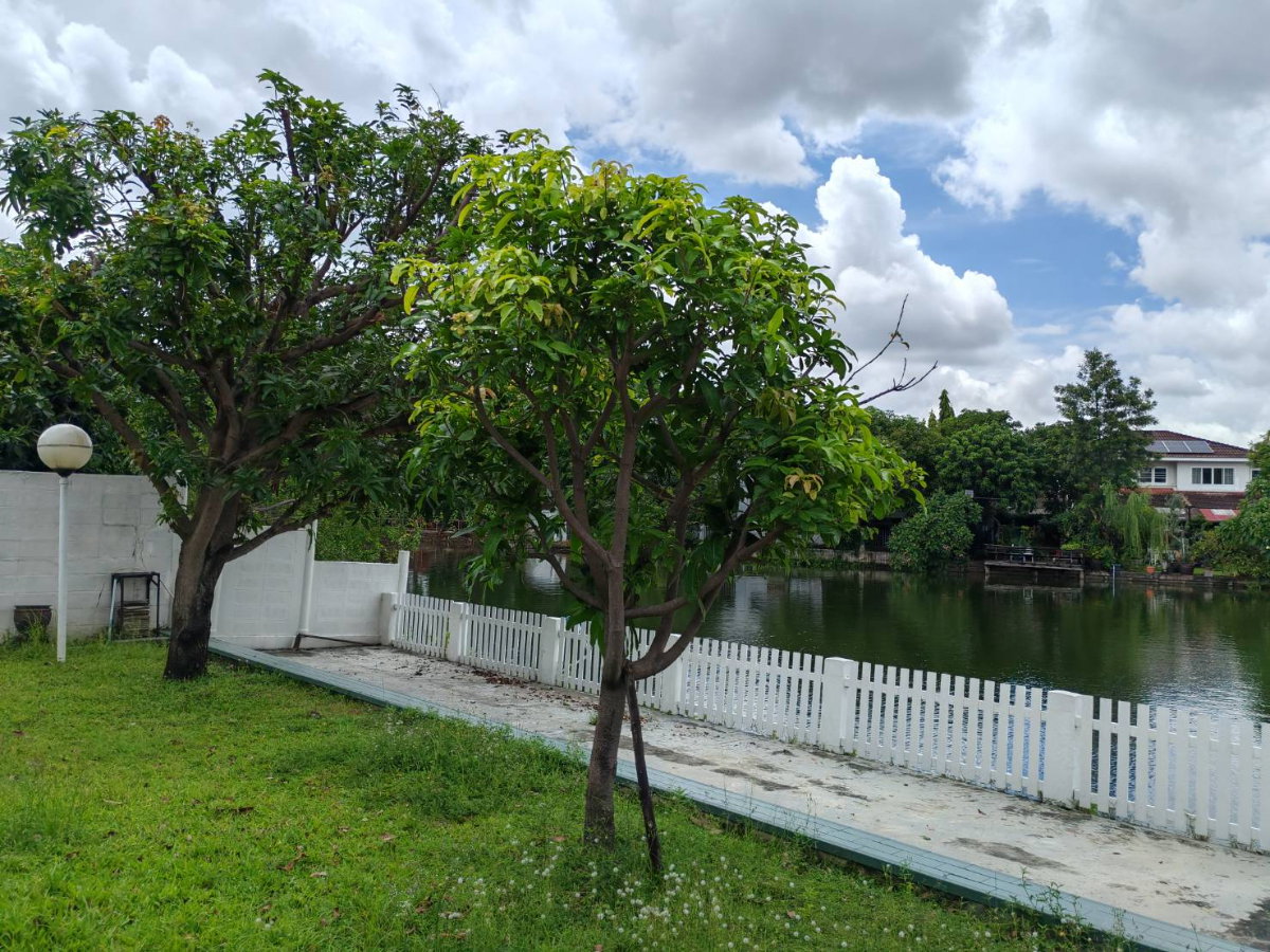 รูป ให้เช่า บ้านเดี่ยว 2 ชั้น 150 ตรว. สวย ๆ บรรยากาศร่มรื่น หลังบ้านติดทะเลสาป อยู่ ใกล้ BIG C แจ้งวัฒนะ - รูปที่ 11/40