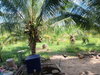 listing thumbnail image 5