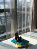listing thumbnail image 7