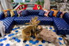 listing thumbnail image 67