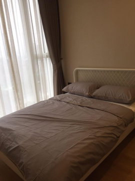 Unit Available at Siamese Exclusive Sukhumvit 42–Multiple units available—prices negotiable!