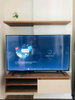 listing thumbnail image 8