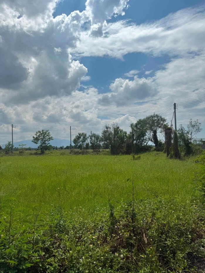 รูป ขายที่ดิน 100 ตรว. ป่าลาน อ.ดอยสะเก็ด ใกล้วัดปีตยาราม 1 กม. - รูปที่ 5/7
