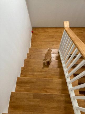 รูป ขายบ้านเดี่ยว 3 ชั้น 25.4 ตรว. สุขุมวิท 71 ปรีดีพนมยงค์ 42 | 4 นอน 3 น้ำ | 10.5 ล้านบาท | บ้านสร้างเอง - รูปที่ 18/24