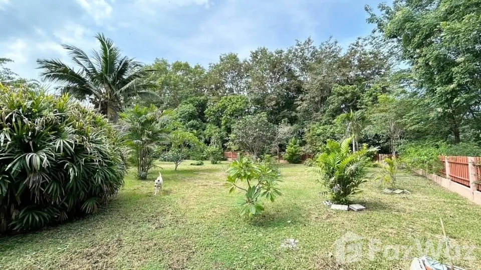 รูป ขาย บ้านเดี่ยว 4 ห้องนอน ใน ทับใต้, ประจวบคีรีขันธ์ 6889670 - รูปที่ 11/12