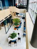 listing thumbnail image 13