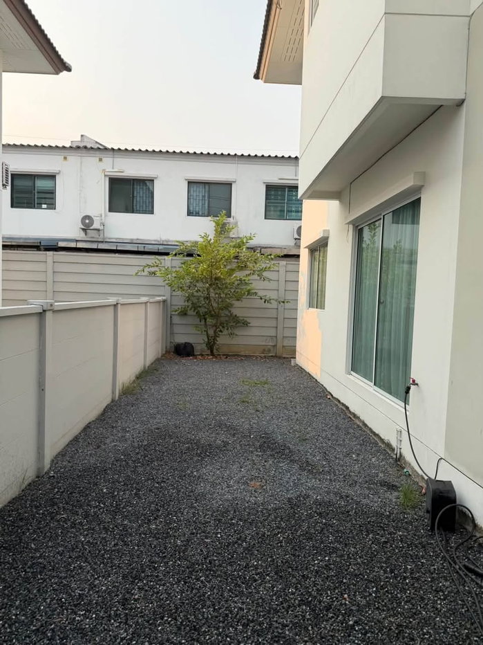 รูป P-024 💢 เช่า 32,000🌵🌈 บ้านเดี่ยว หลังฟิวเจอร์พาร์ค รังสิต 🔑 Centro พหลฯ-วิภาวดี🌵🌈3นอน - รูปที่ 5/20