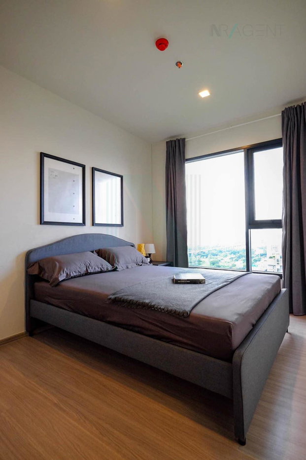 รูป ให้เช่าคอนโด ไลฟ์ อโศก ไฮป์ อาคาร 1 ชั้น 30 1 ห้องนอน ขนาด 35.00 ตรม ใกล้ Fortune Town - รูปที่ 2/8