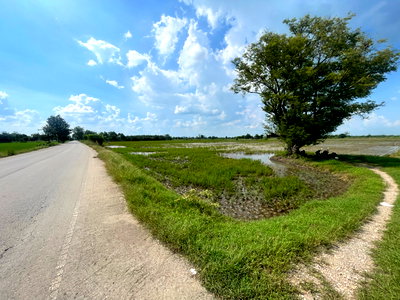ที่ดิน บ้านโป่ง ราชบุรี : ขายที่ดินแปลงสวย ติดถนนลาดยาง ทำเลดี อ. บ้านโป่ง จ. ราชบุรี