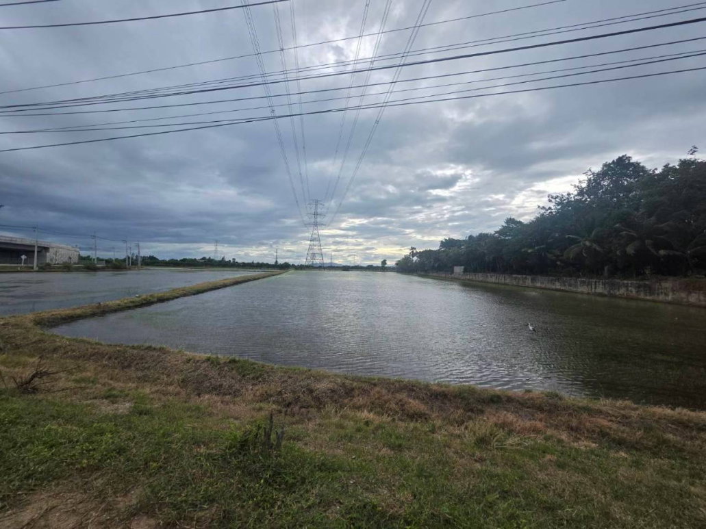 รูป ขายที่ดินติดทางขึ้น-ลง มอเตอร์เวย์ M81 ด่านท่าม่วง 37 ไร่ 3 งาน ติดถนน 500 เมตร - รูปที่ 4/5