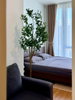 listing thumbnail image 11
