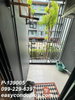 listing thumbnail image 8