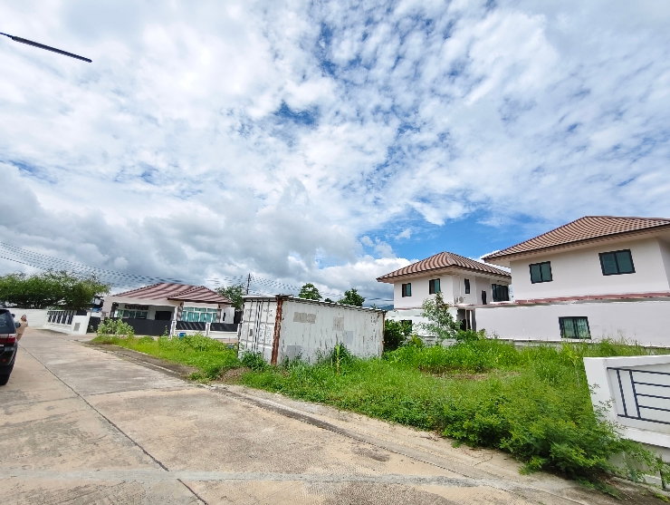 รูป ขายที่ดินเหมาะสร้างบ้านใน พรีมิโอ เลคฮิลล์ บ้านบึง 100.3 ตร.ว. 2 แปลงติดกัน - รูปที่ 6/12