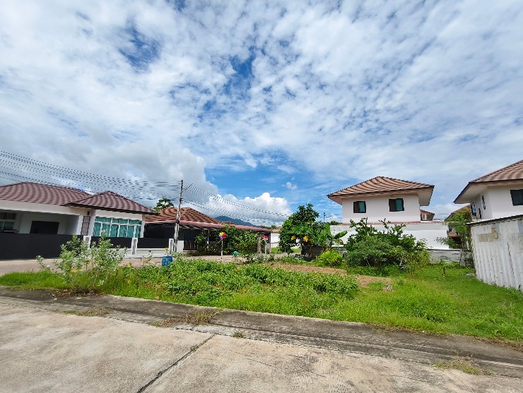 รูป ขายที่ดินเหมาะสร้างบ้านใน พรีมิโอ เลคฮิลล์ บ้านบึง 100.3 ตร.ว. 2 แปลงติดกัน - รูปที่ 8/12