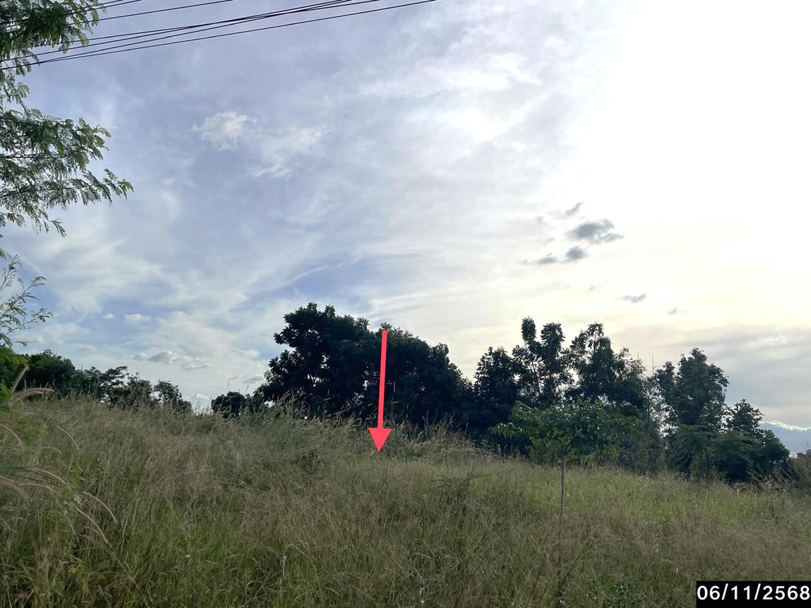 รูป บ้านเดี่ยว 2052 ตร.วา บำเหน็จณรงค์ ชัยภูมิ 7.2M - รูปที่ 12/17