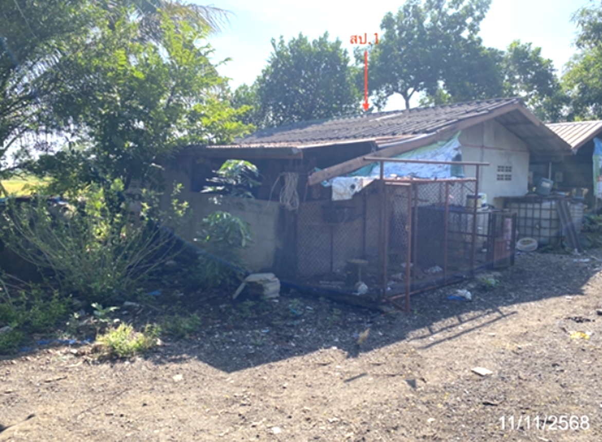 รูป บ้านเดี่ยว 9428 ตร.วา เมืองมหาสารคาม มหาสารคาม 5.2M - รูปที่ 9/17