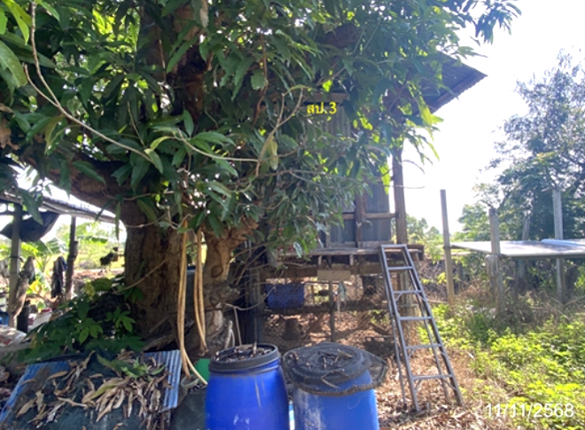 รูป บ้านเดี่ยว 9428 ตร.วา เมืองมหาสารคาม มหาสารคาม 5.2M - รูปที่ 5/17