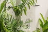 listing thumbnail image 19