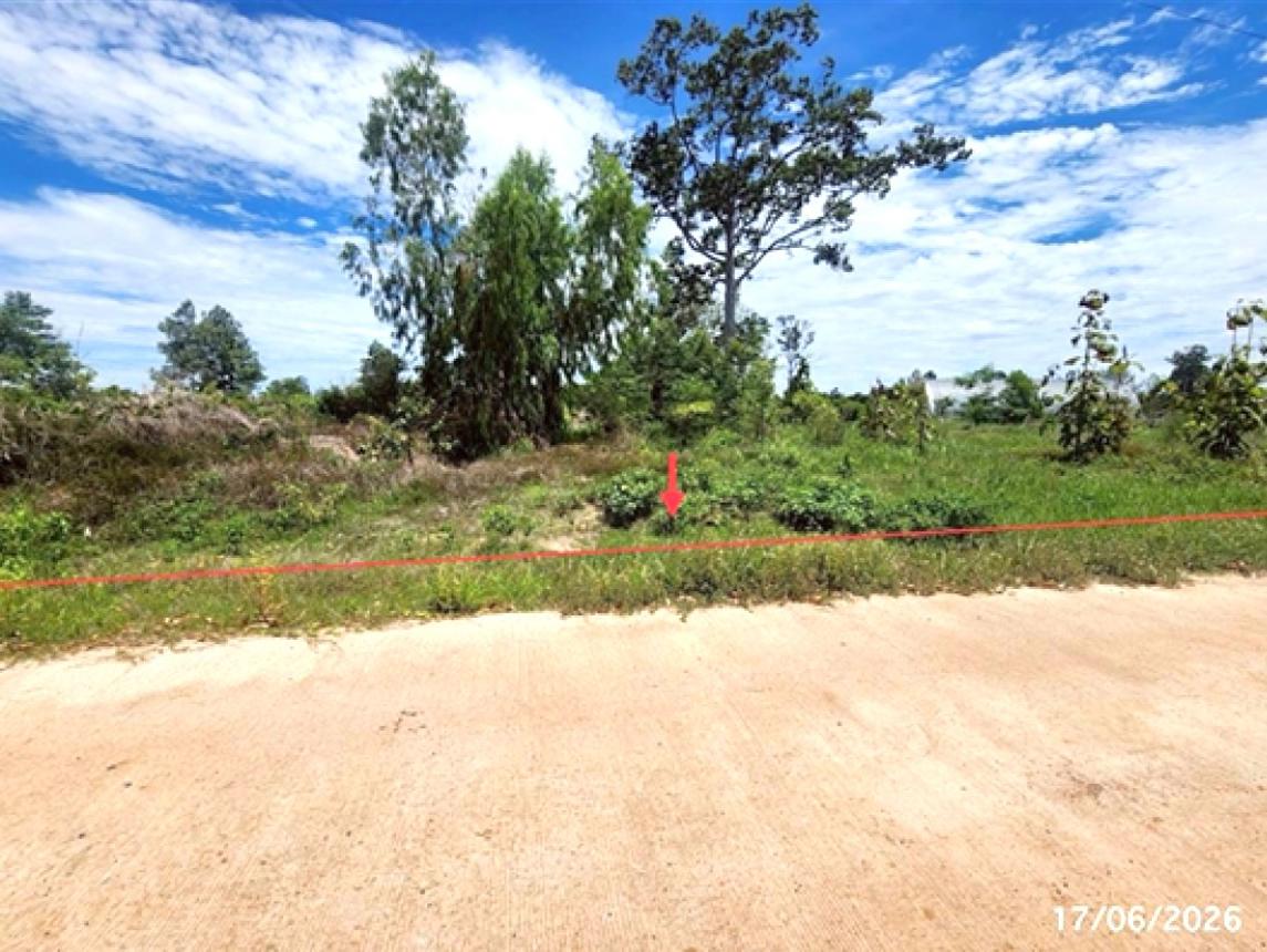 picture LAND 2113.1 Sq.w. Muang Roi Et Roi Et for 4.5M - 7/15
