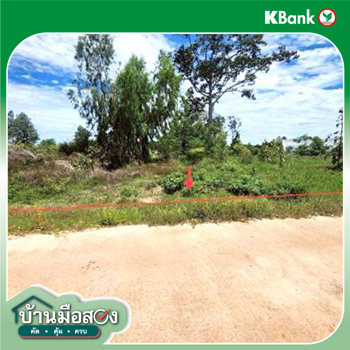 picture LAND 2113.1 Sq.w. Muang Roi Et Roi Et for 4.5M - 13/15