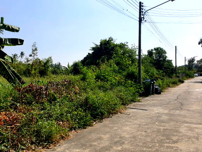 ที่ดิน สถาบันกันตนา : ที่ดินแปลงสวย 210 ตร.ว. หน้ากว้าง ทำเลสงบ เหมาะสร้างบ้านในฝัน