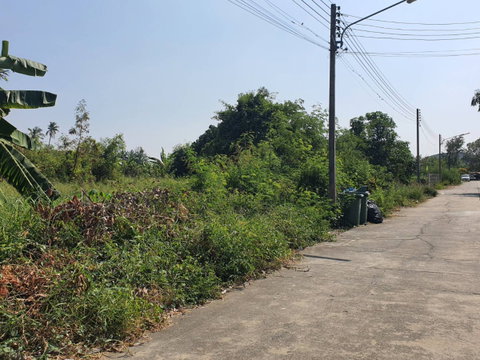 ที่ดินแปลงสวย 210 ตร.ว. หน้ากว้าง ทำเลสงบ เหมาะสร้างบ้านในฝัน