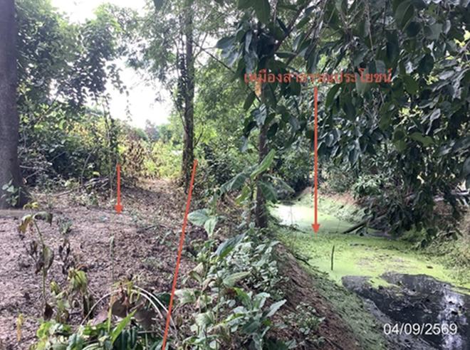 picture LAND 268 Sq.w. Khanu Woralaksaburi Kamphaeng Phet for 978,000 - 5/21