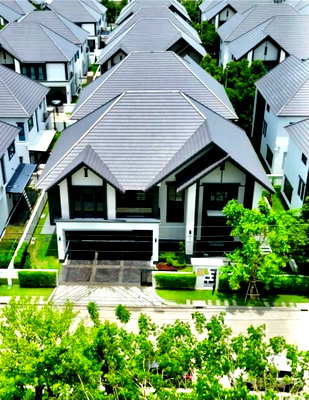 Houses for rent : ✨House for Rent : THE CITY BANGNA2 (AP-02) ( line : @condo91 )