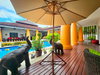 listing thumbnail image 7