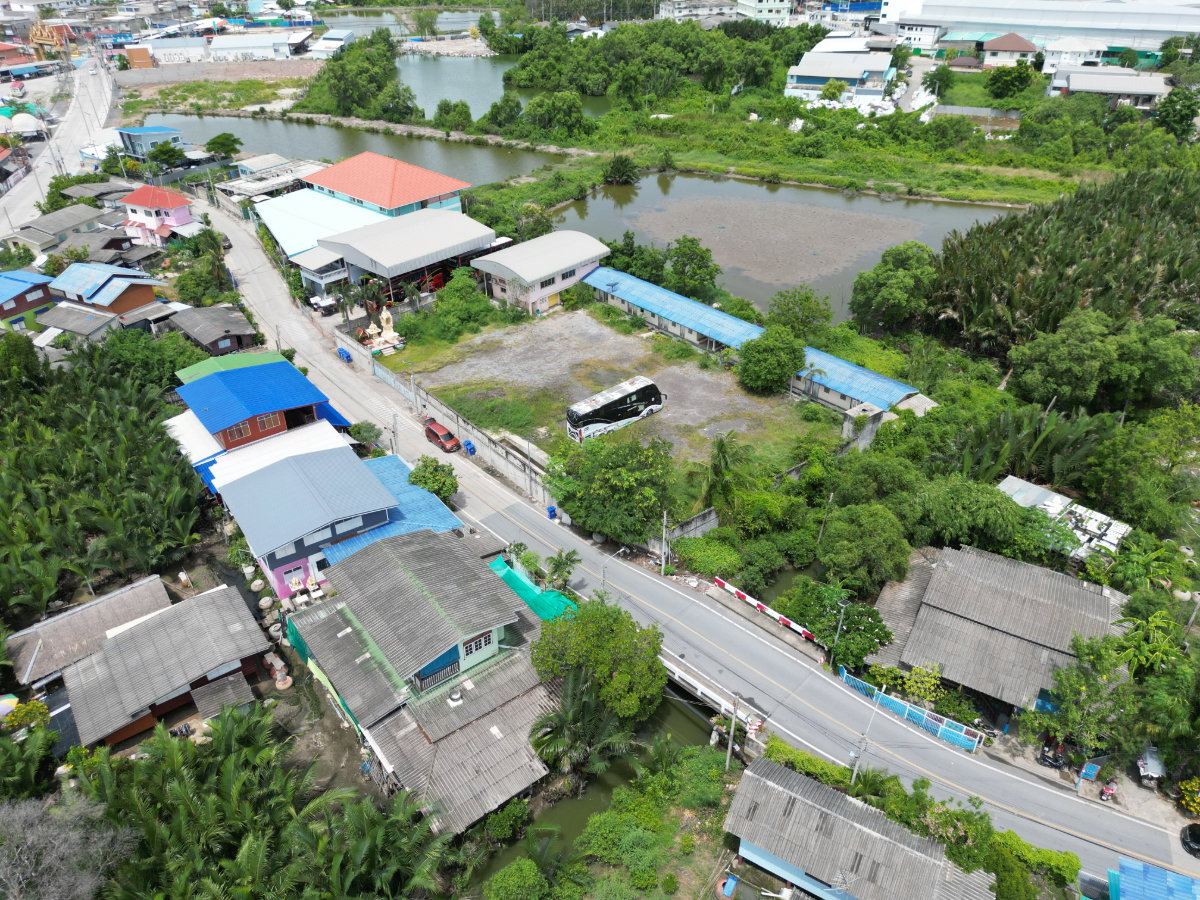 รูป ขายที่ดิน พร้อมสิ่งปลูกสร้าง 627 ตรว. ผังสีม่วง ใกล้วัดคู่สร้าง ใกล้ อบต.คลองปลากด อ.พระสมุทรเจดีย์ จ.สมุทรปราการ ราคาดีมาก ขายถูกมาก - รูปที่ 14/38