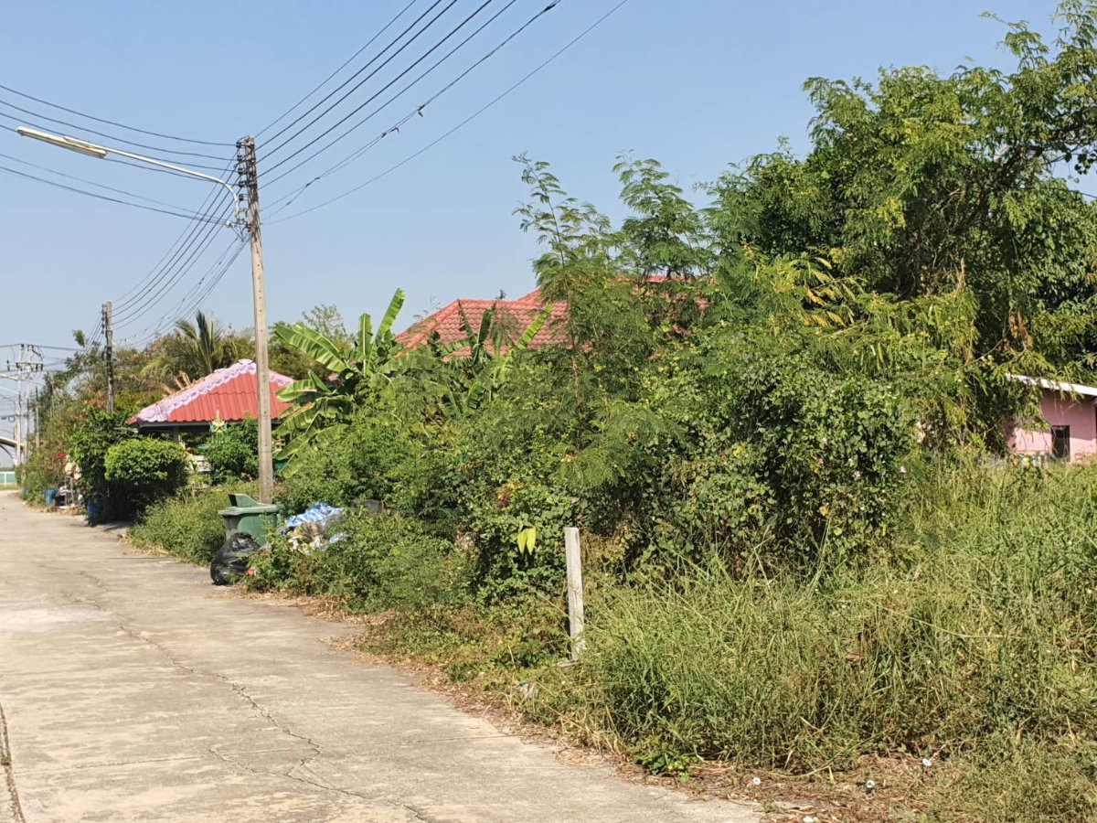 รูป ที่ดินแปลงสวย 210 ตร.ว. หน้ากว้าง ทำเลสงบ เหมาะสร้างบ้านในฝัน - รูปที่ 11/11