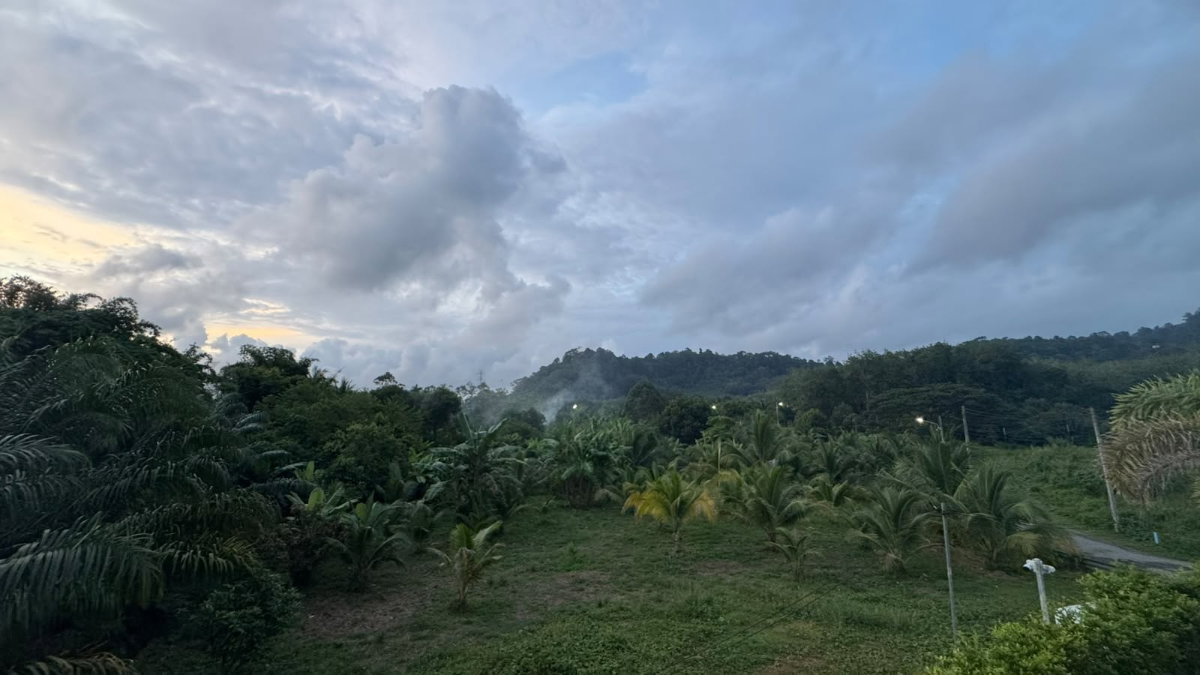 รูป ขายพูลวิลล่า 4 ห้องนอน ภูเก็ต 24 ล้าน ที่ดิน 860 ตร.ม. ใกล้ UWC - U6752586 - รูปที่ 19/23