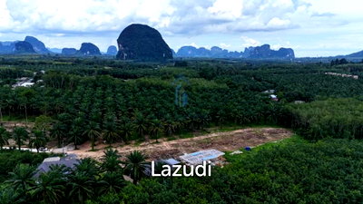Land for sale : Stunning Mountain View Land in Nong Thale on 3,520 sqm