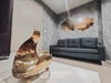 listing thumbnail image 4