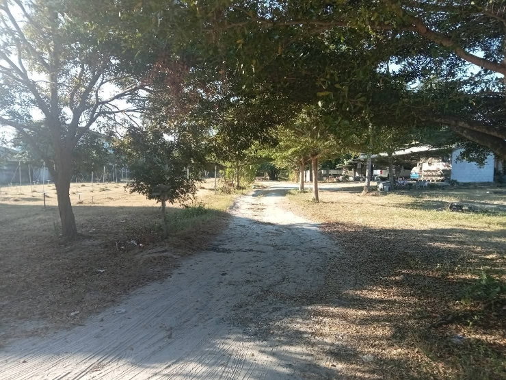 picture 15-rai plot of land for sale in Ban Bueng District, Chon Buri | Suitable for long-term investment - 5/7